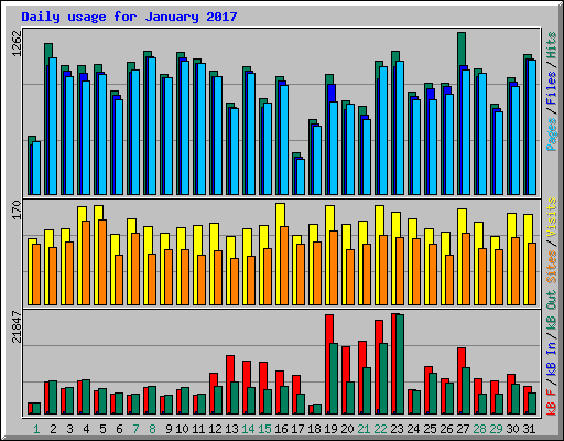 Daily usage for January 2017