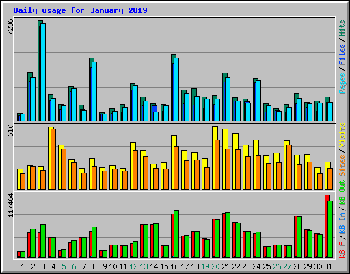 Daily usage for January 2019