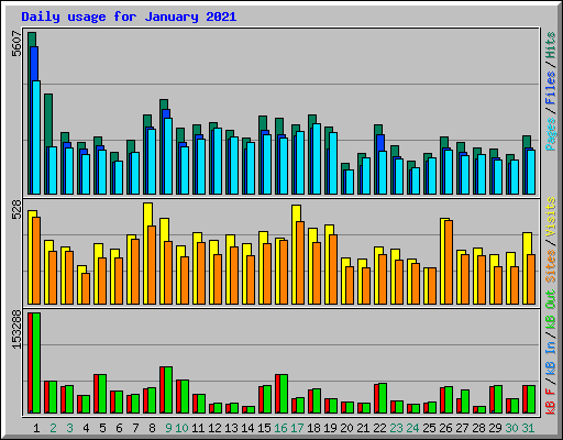 Daily usage for January 2021