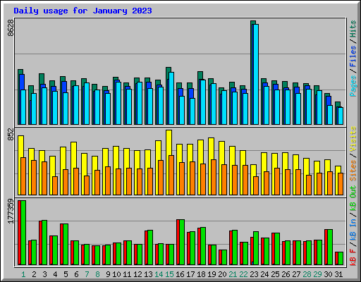 Daily usage for January 2023