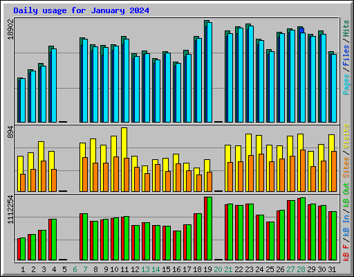 Daily usage for January 2024