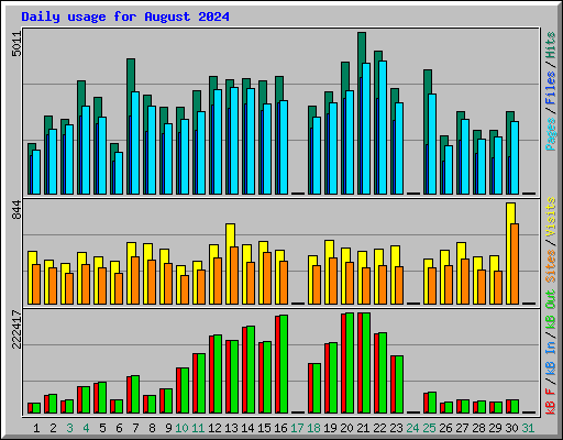 Daily usage for August 2024