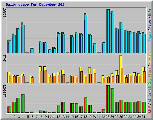 Daily usage for December 2024