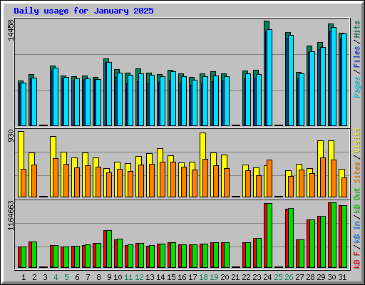 Daily usage for January 2025