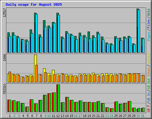 Daily usage for August 2025