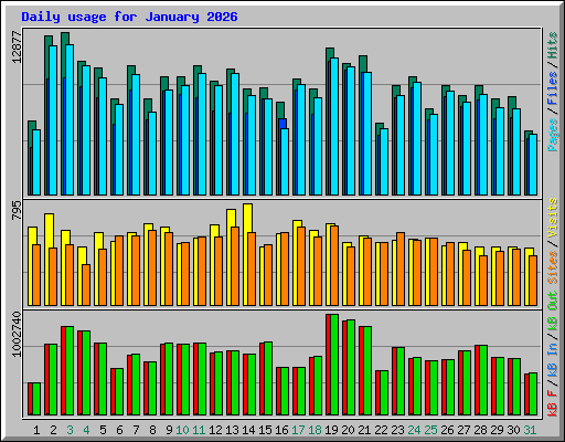 Daily usage for January 2026