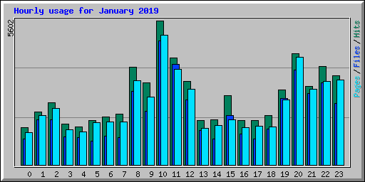 Hourly usage for January 2019