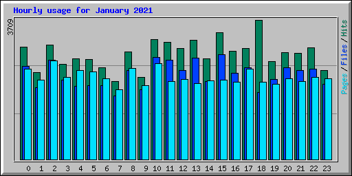 Hourly usage for January 2021