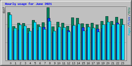 Hourly usage for June 2021