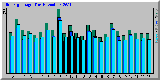 Hourly usage for November 2021