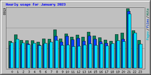 Hourly usage for January 2023