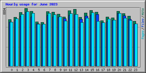 Hourly usage for June 2023