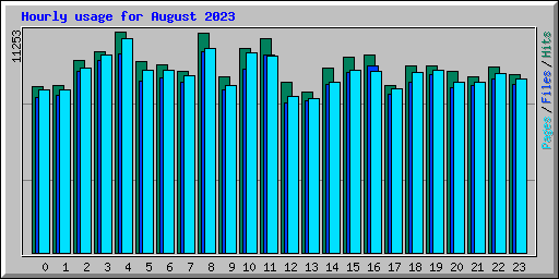 Hourly usage for August 2023