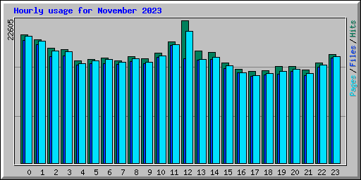 Hourly usage for November 2023