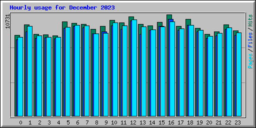 Hourly usage for December 2023