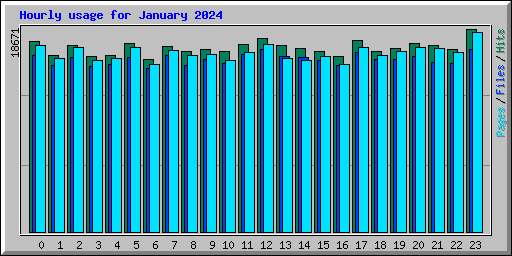 Hourly usage for January 2024