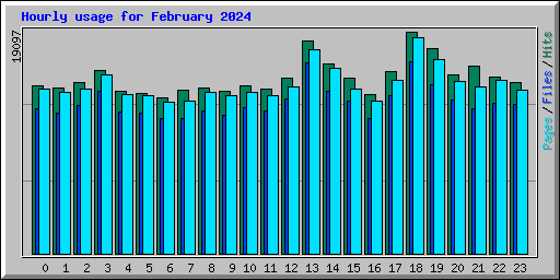 Hourly usage for February 2024