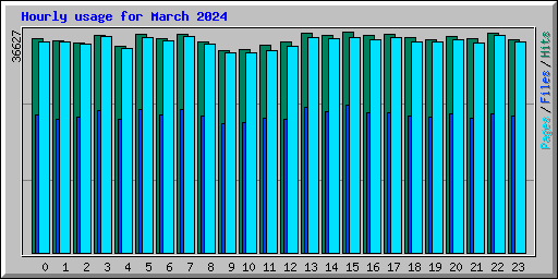 Hourly usage for March 2024