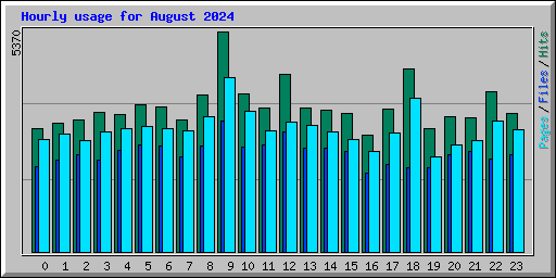Hourly usage for August 2024