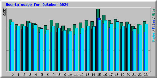 Hourly usage for October 2024