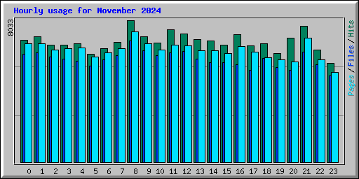 Hourly usage for November 2024