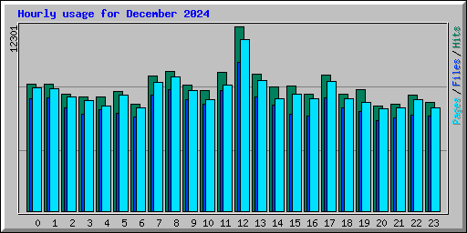 Hourly usage for December 2024