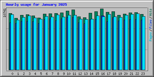 Hourly usage for January 2025