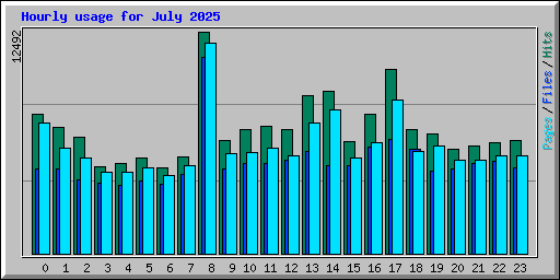 Hourly usage for July 2025