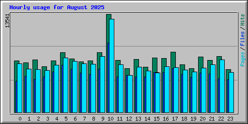 Hourly usage for August 2025