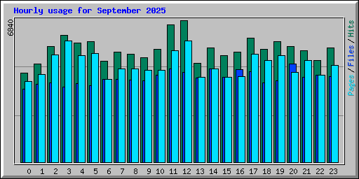 Hourly usage for September 2025
