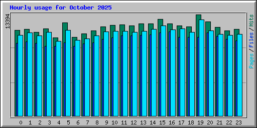 Hourly usage for October 2025