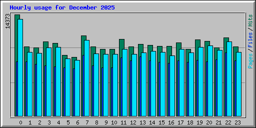 Hourly usage for December 2025