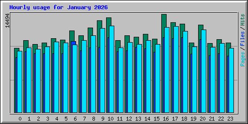 Hourly usage for January 2026
