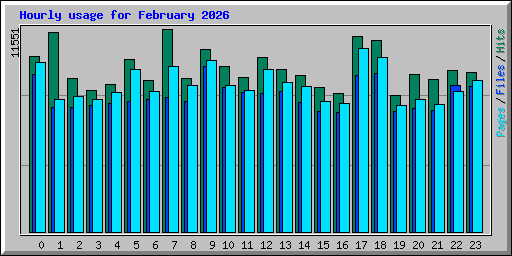 Hourly usage for February 2026