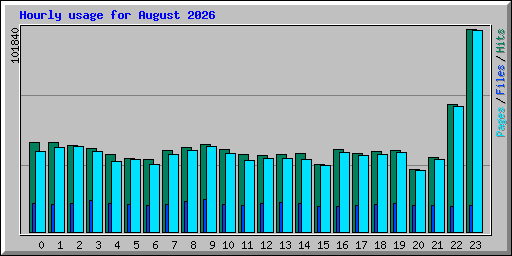Hourly usage for August 2026